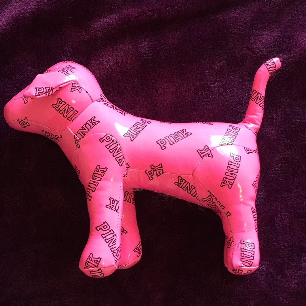 VS PINK dog